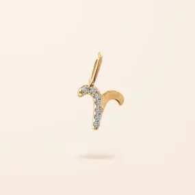 14K Gold Mini Diamond Zodiac Charm