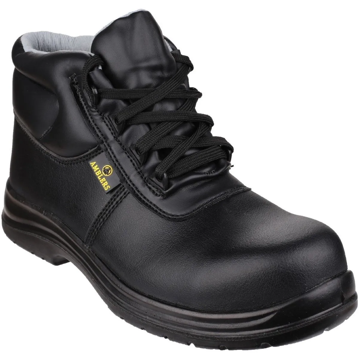 FS663 Safety ESD Boots