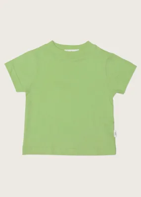 Sage Baby Tee